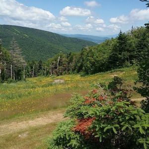 Meet your Posher, Selene